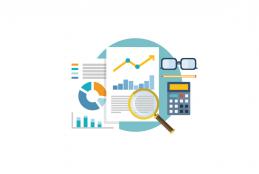 Capacità Istituzionale